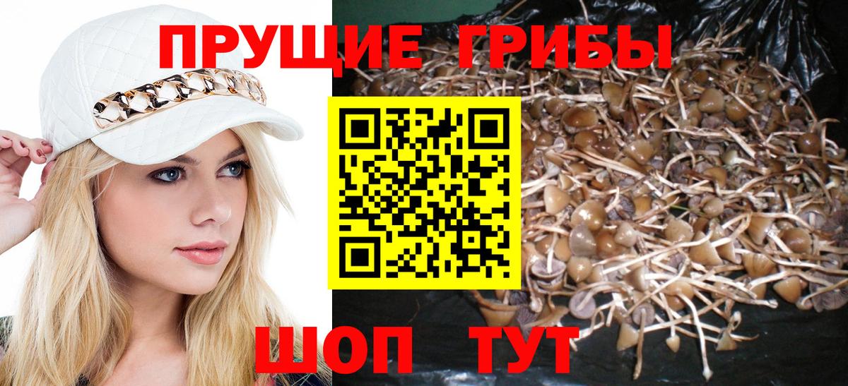 Галлюциногенные грибы мицелий  Нарткала  Галлюциногенные грибы мухоморы 