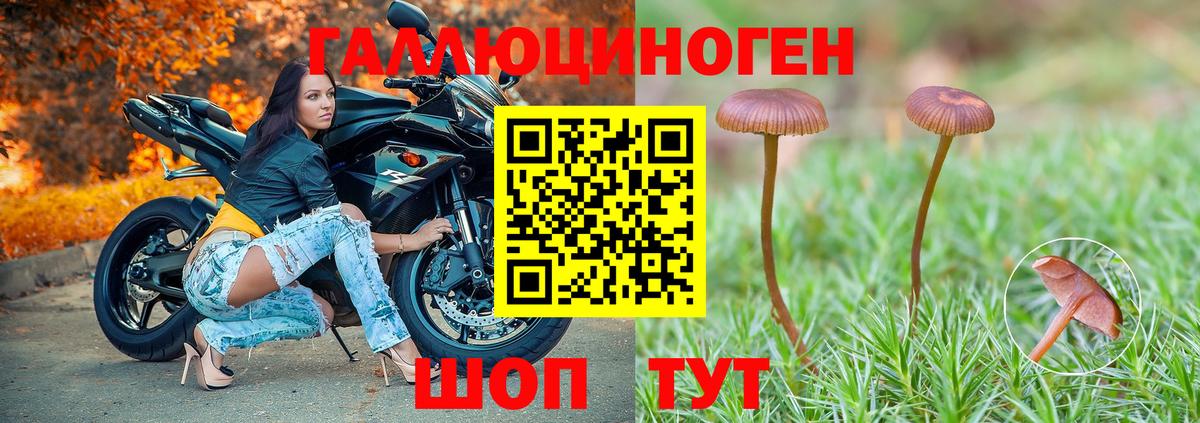 Псилоцибиновые грибы Cubensis  Вход с VPN  Нарткала 
