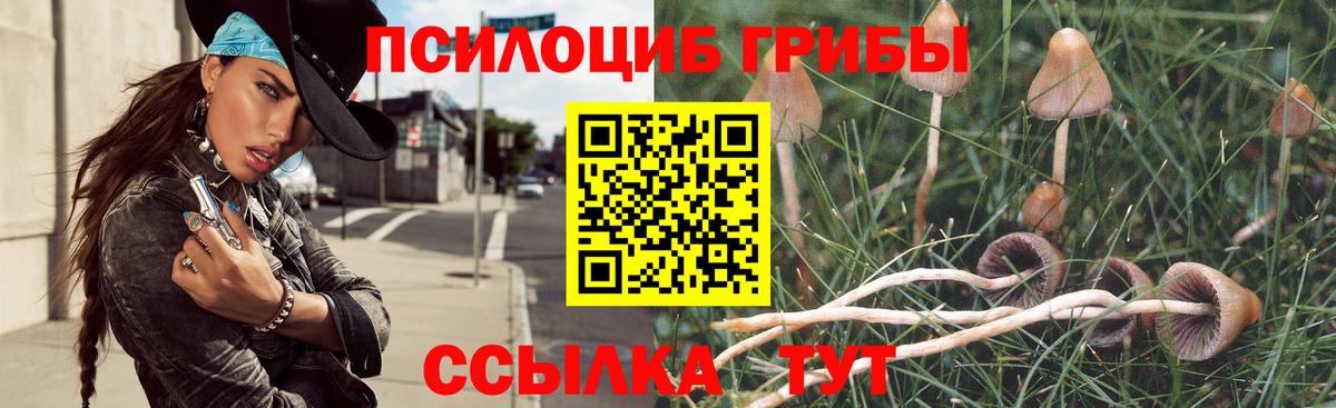 Галлюциногенные грибы мицелий Нарткала